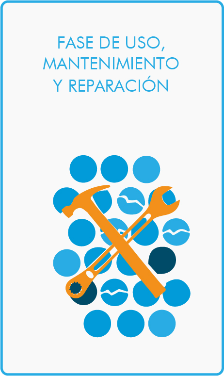 Ciclos de vida-7